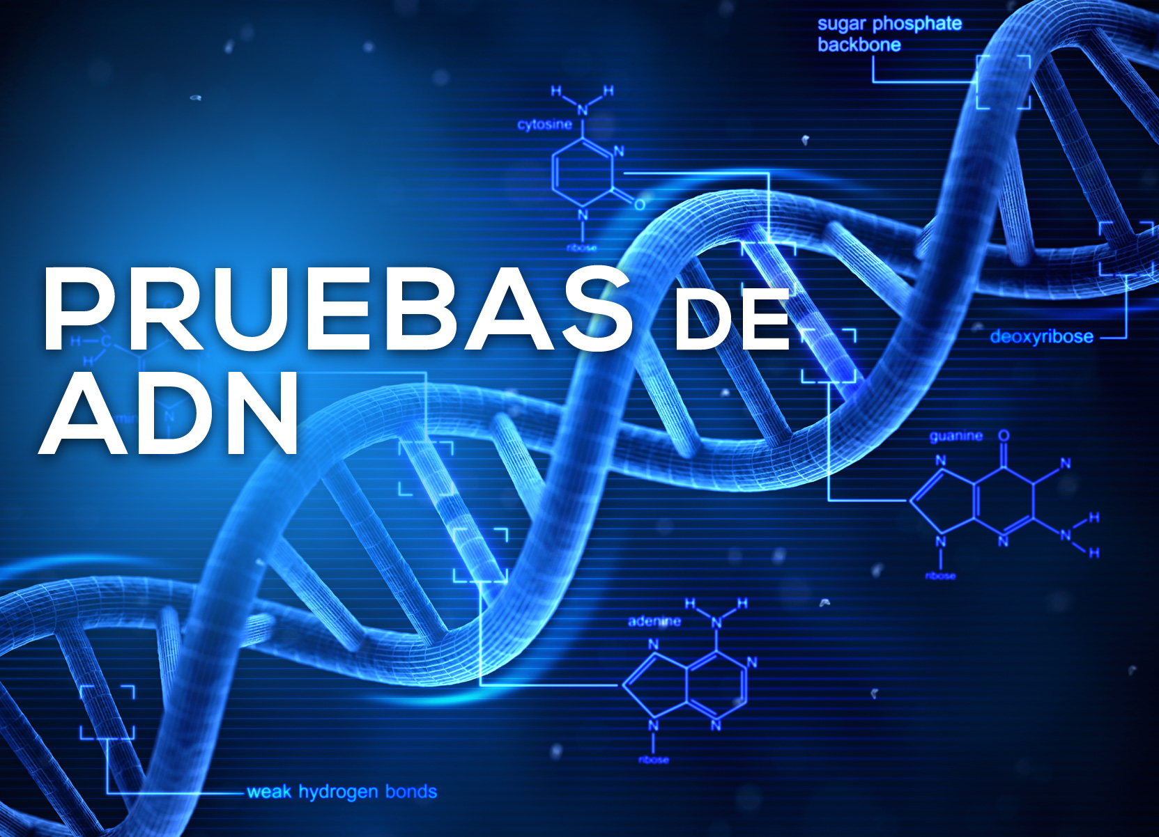 que precio tiene una prueba de adn en honduras