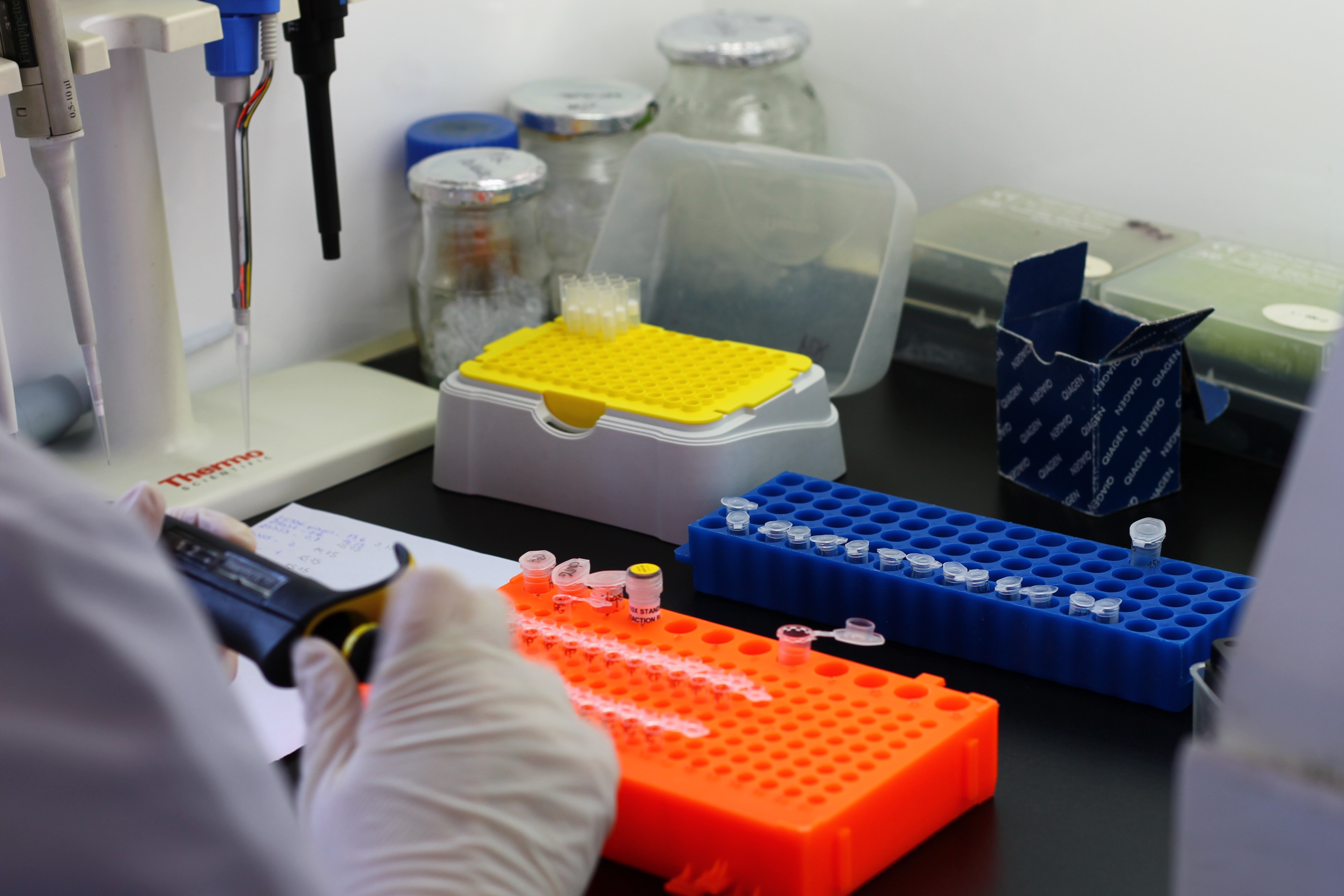 Test Paternidad Prenatal No Invasivo Prueba de paternidad durante el embarazo | Test de paternidad prenatal