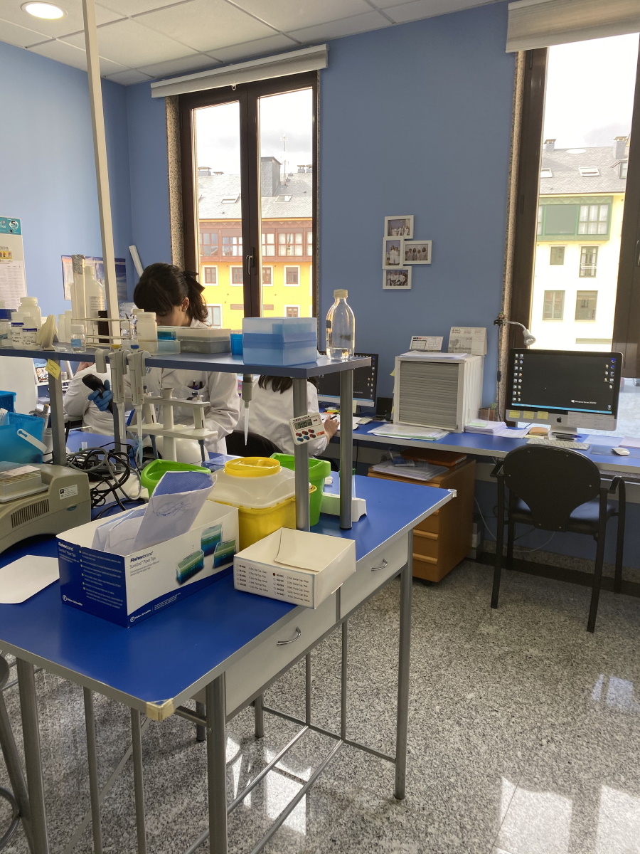Personal trabajando en el laboratorio de Ampligen para hacer pruebas de ADN de paternidad