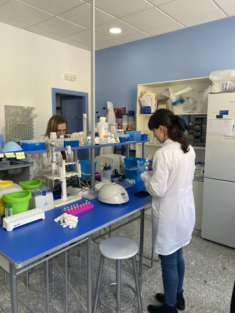 Imagen del personal de Ampligen trabajando en el laboratorio realizando pruebas de ADN