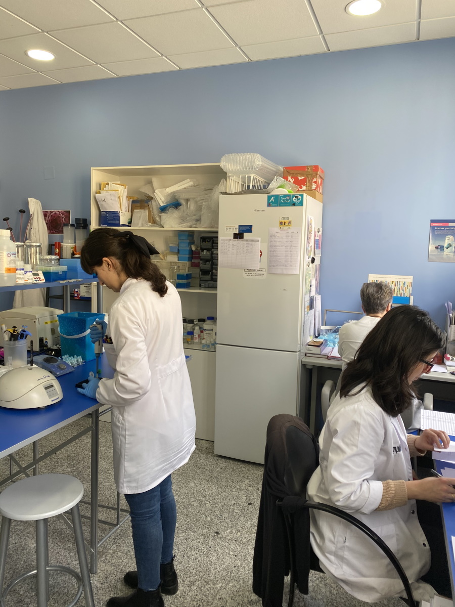 Ampligen cuenta con equipos y profesionales especializados en realizar pruebas de paternidad y tests de ADN