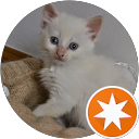 FRANCISCO AREAN G. profile picture